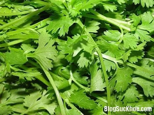 Cách điều trị chứng khó tiêu an toàn cho bé