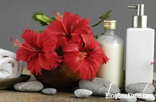 7 cách sử dụng hoa dâm bụt làm đẹp cho tóc