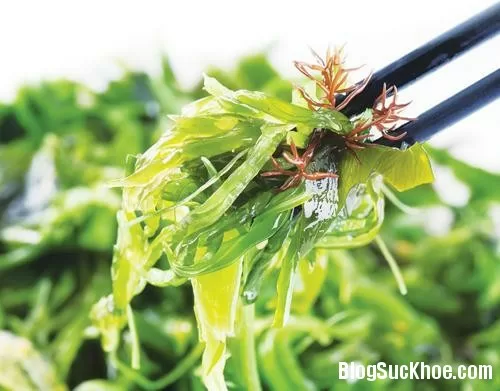 Thanh lọc cơ thể tuyệt vời với rong biển