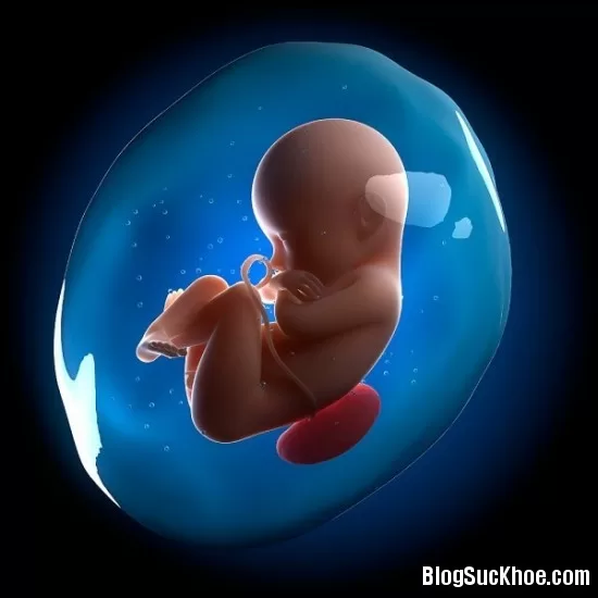 Các vấn đề về nước ối mẹ bầu cần chú ý