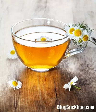 Một số vấn đề cần chú ý khi uống nước giải khát từ cây cỏ
