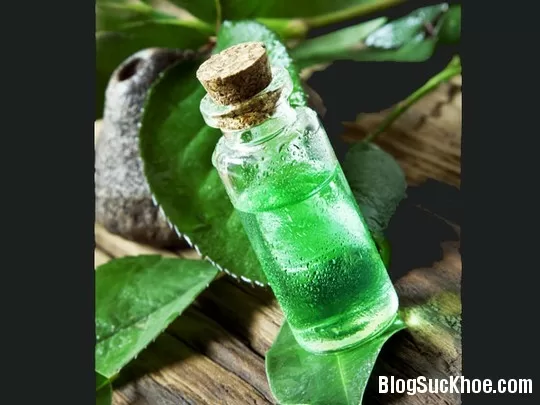 Chữa mụn rộp sinh dục bằng các phương pháp tự nhiên