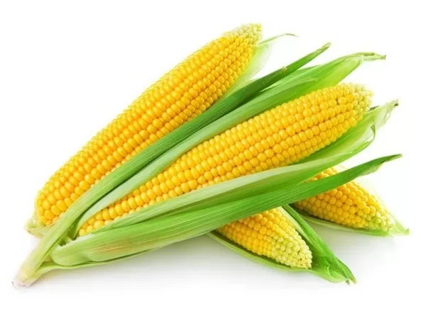 8 lợi ích tuyệt vời khi ăn ngô ngọt