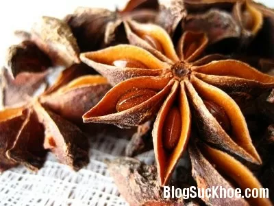 Hoa hồi làm thuốc