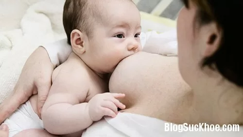 Gai bồ kết giúp thông tia sữa