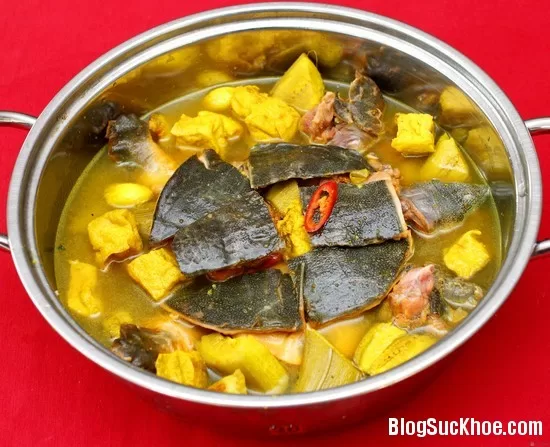 Ba ba - vị thuốc bổ thận rất tốt cho cả nam và nữ