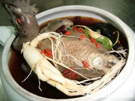 Món ăn bài thuốc từ gà có lợi cho chuyện phòng the