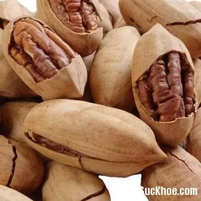Quả đào nhân nhuận tràng, chữa thống kinh, bế kinh