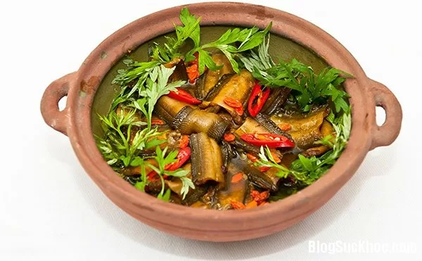 Món ăn bài thuốc chữa bệnh từ lươn