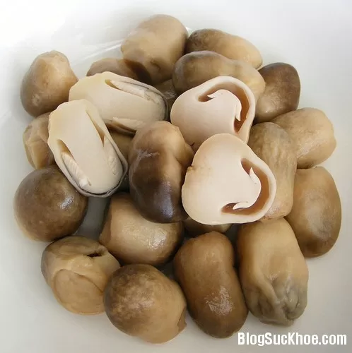 Ăn gì không lo béo?