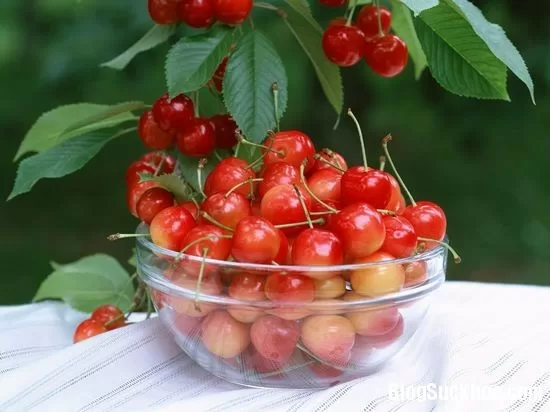 Top 10 loại thực phẩm giàu vitamin C