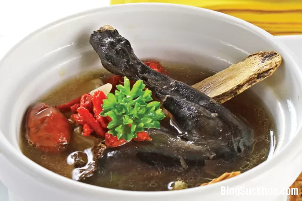Món ăn, bài thuốc bồi bổ sức khỏe cho sĩ tử