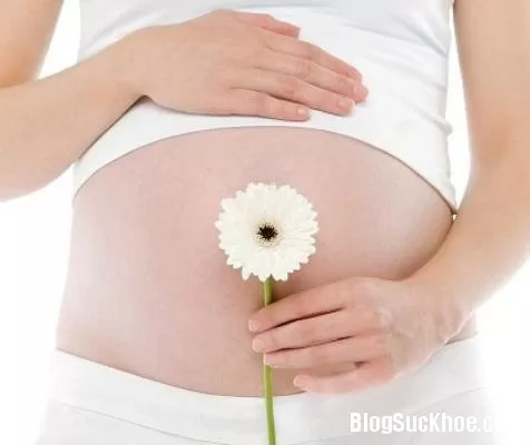 Chăm sóc sức khỏe tốt trước khi mang thai
