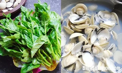 Món ngon bổ cho bé ăn dặm từ rau mồng tơi