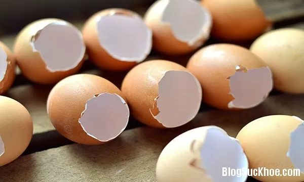 Tẩy sạch tế bào chết, làm trắng da với vỏ trứng