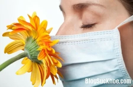 Những lời khuyên giúp bạn loại bỏ mầm mống gây dị ứng