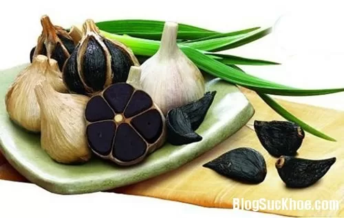 Tỏi đen chữa bách bệnh