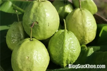 Các loại quả khắc tinh bệnh tiểu đường