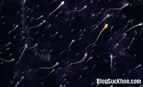 Đoán bệnh thông qua màu sắc tinh dịch