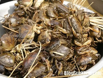 Những điều cần biết khi ăn cua đồng