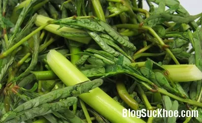 Công dụng chữa bệnh tuyệt vời của rau rút