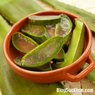 4 bài thuốc dân gian trị táo bón từ nha đam
