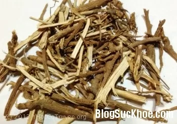 Đông Y chữa bệnh điếc tai