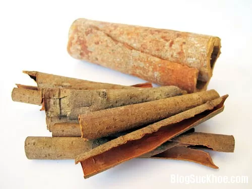 Bài thuốc chữa bệnh mề đay theo từng thể