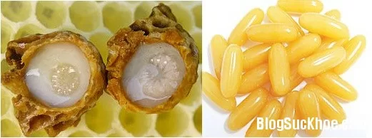 Top thực phẩm thúc đẩy khả năng thụ thai