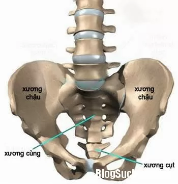 Nguyên nhân khiến phụ nữ đau khung chậu mãn tính