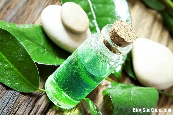 3 cách chăm sóc da tự nhiên cho hiệu quả tốt nhất