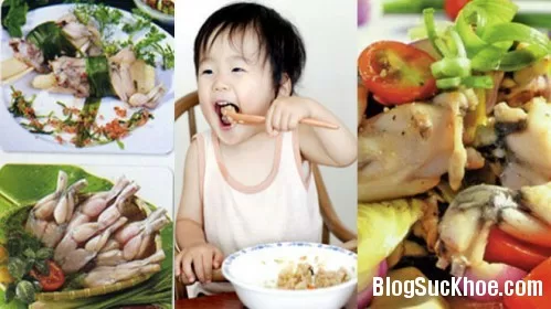 Ăn thịt cóc chữa còi xương đúng hay sai?
