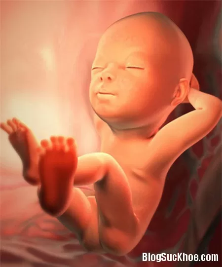 Thai nhi thường làm gì trong bụng mẹ?