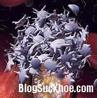 Điều trị tăng tiểu cầu nguyên phát và thứ phát