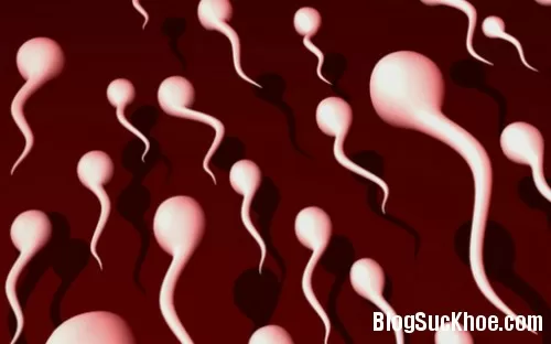7 dấu hiệu nam giới có tinh binh khỏe mạnh