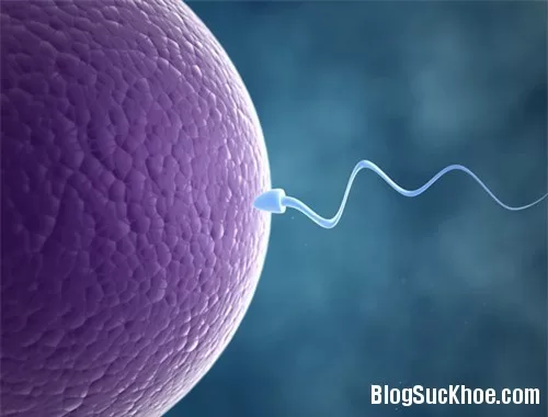 Những điều ngạc nhiên thú vị về tinh trùng