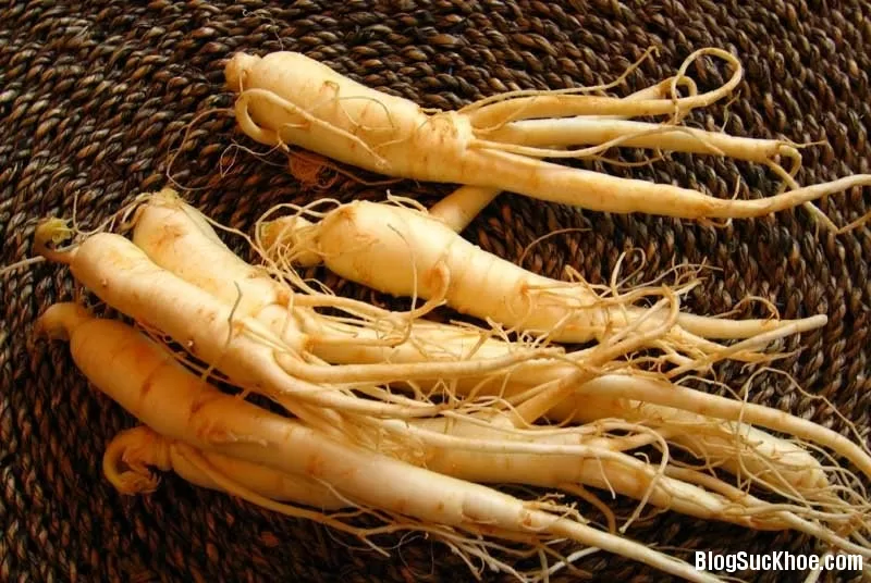 Bài thuốc dùng nhân sâm chữa yếu sinh lý cho nam giới