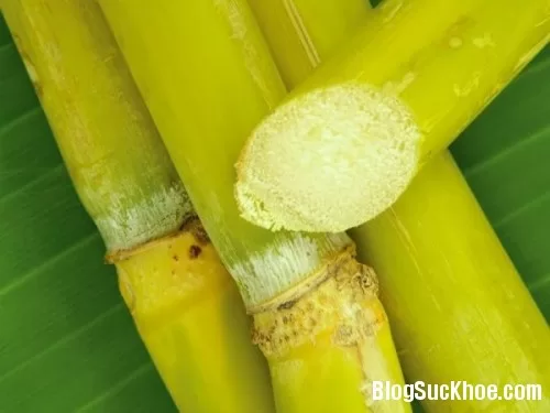 Thực đơn cho bệnh nhân đau dạ dày
