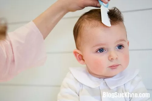 Quan niệm cắt tóc máu của người Việt
