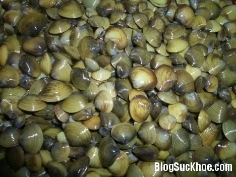 Lợi ích sức khỏe tuyệt vời từ trai hến