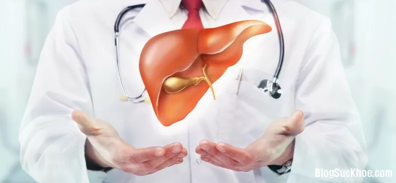 Cách đơn giản giúp gan luôn khỏe mạnh