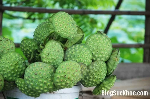 Hạt sen chữa mất ngủ, suy nhược thần kinh