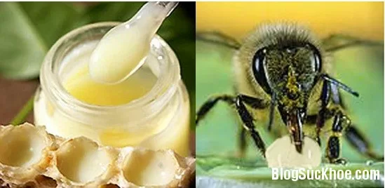 Cải thiện sinh lực phái mạnh nhờ sữa ong chúa