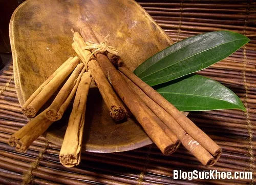 Quế có công dụng tốt như thế nào?