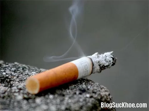 Khói thuốc – Không chỉ gây hại cho phổi…