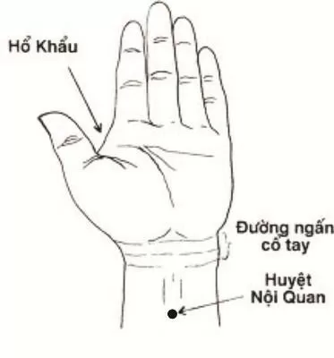 2 cách bấm huyệt giúp khắc phục chứng say tàu xe