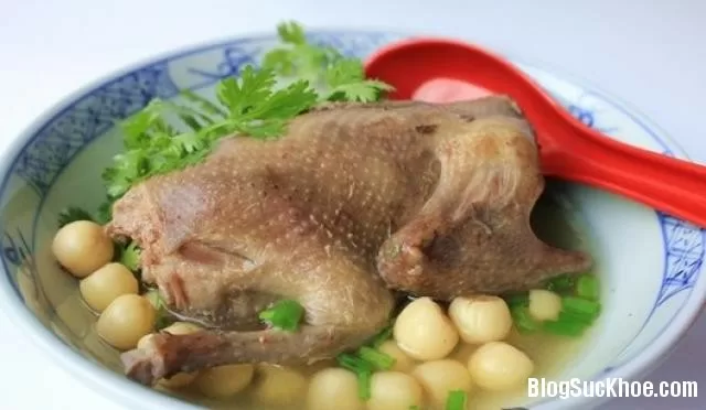 Bồi bổ ngũ tạng với thịt bồ câu