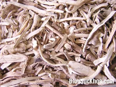 Dược thảo điều trị tăng huyết áp