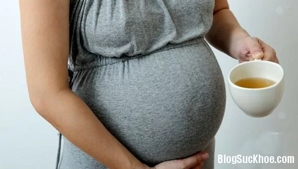 Vì sao bà bầu không nên uống trà xanh?
