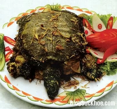 Món ăn từ ba ba tăng cường sinh lực
